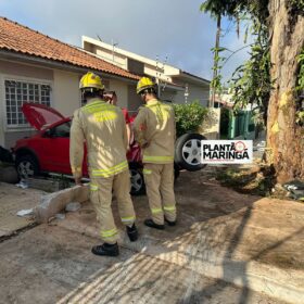 Câmera registra motorista embriagado batendo em árvore em Maringá Foto 12 Fotos de Câmera registra motorista embriagado batendo em árvore em Maringá