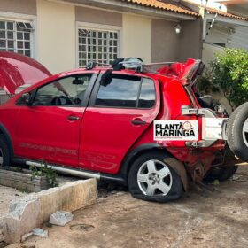 Câmera registra motorista embriagado batendo em árvore em Maringá Foto 9 Fotos de Câmera registra motorista embriagado batendo em árvore em Maringá