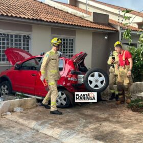 Câmera registra motorista embriagado batendo em árvore em Maringá Foto 6 Fotos de Câmera registra motorista embriagado batendo em árvore em Maringá