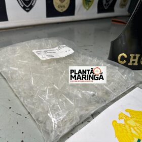 Três pessoas são presas e três armas apreendidas na operação policial Foto 3 Fotos de Três pessoas são presas e três armas apreendidas na operação policial