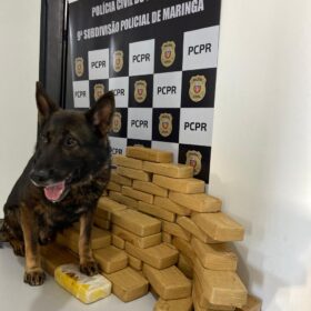 Três pessoas são presas por tráfico em Mandaguaçu; droga abastecia traficantes de Maringá, diz polícia Foto 3 Fotos de Três pessoas são presas por tráfico em Mandaguaçu; droga abastecia traficantes de Maringá, diz polícia