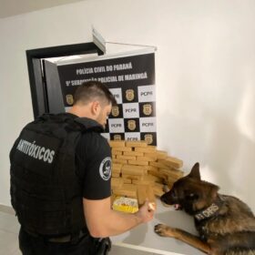 Três pessoas são presas por tráfico em Mandaguaçu; droga abastecia traficantes de Maringá, diz polícia Foto 4 Fotos de Três pessoas são presas por tráfico em Mandaguaçu; droga abastecia traficantes de Maringá, diz polícia