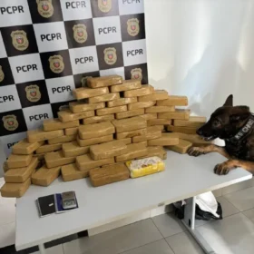 Três pessoas são presas por tráfico em Mandaguaçu; droga abastecia traficantes de Maringá, diz polícia Foto 2 Fotos de Três pessoas são presas por tráfico em Mandaguaçu; droga abastecia traficantes de Maringá, diz polícia