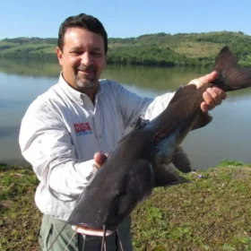 Fotos de 2,6 milhões de peixes nativos serão soltos no Paraná