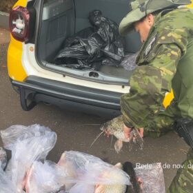 Dois homens são presos por pesca durante a piracema no Rio Ivaí Foto 2 Fotos de Dois homens são presos por pesca durante a piracema no Rio Ivaí