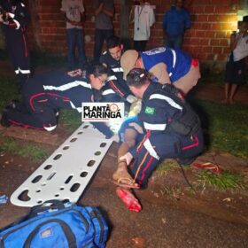 Homem é atacado por cachorro da raça pitbull em Maringá Foto 2 Fotos de Homem é atacado por cachorro da raça pitbull em Maringá