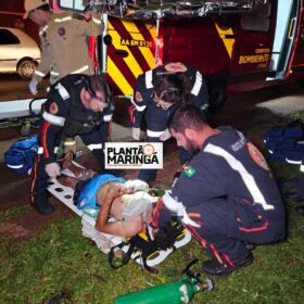 Homem é atacado por cachorro da raça pitbull em Maringá Foto 1 Fotos de Homem é atacado por cachorro da raça pitbull em Maringá