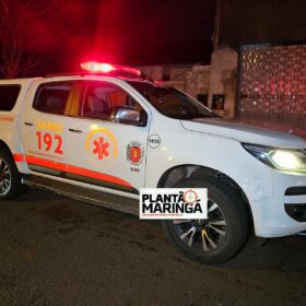 Homem é atacado por cachorro da raça pitbull em Maringá Foto 5 Fotos de Homem é atacado por cachorro da raça pitbull em Maringá