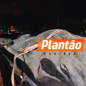 Piratas do Asfalto dopam motorista de caminhão e roubam carga do Mercado Livre entre Marialva e Mandaguari Foto 3 Fotos de Piratas do Asfalto dopam motorista de caminhão e roubam carga do Mercado Livre entre Marialva e Mandaguari