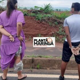 Receita Federal apreende 2,5 kg de skunk na Rodovia PR 323 - a droga seria entregue em Maringá Foto 6 Fotos de Receita Federal apreende 2,5 kg de skunk na Rodovia PR 323 - a droga seria entregue em Maringá