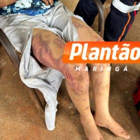 Fotos de Mulher que seria morta com picareta é salva pela Guarda Municipal de Sarandi