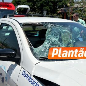 Identificado homem que morreu atropelado na Avenida Cerro Azul em Maringá Foto 6 Fotos de Identificado homem que morreu atropelado na Avenida Cerro Azul em Maringá
