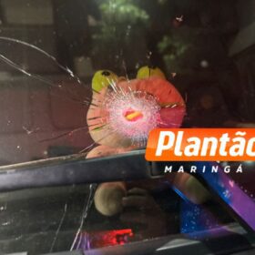 Caminhoneiro é sequestrado e amarrado em cativeiro durante assalto BR-376 Foto 8 Fotos de Caminhoneiro é sequestrado e amarrado em cativeiro durante assalto BR-376