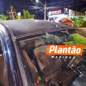 Ciclista é intubado após ser atropelamento em Maringá Foto 6 Fotos de Ciclista é intubado após ser atropelamento em Maringá