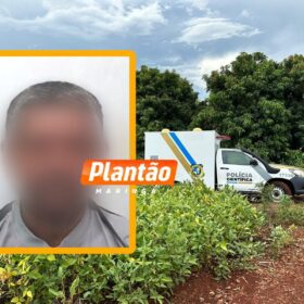 Corpo de homem encontrado em plantação de soja é identificado em Maringá Foto 2 Fotos de Corpo de homem encontrado em plantação de soja é identificado em Maringá