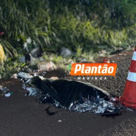 Homem em situação de rua morre atropelado na BR-376, em Marialva Foto 10 Fotos de Homem em situação de rua morre atropelado na BR-376, em Marialva