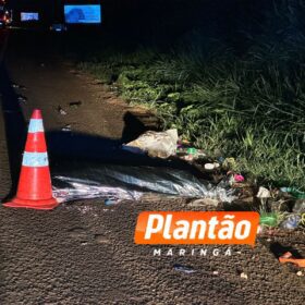 Homem em situação de rua morre atropelado na BR-376, em Marialva Foto 6 Fotos de Homem em situação de rua morre atropelado na BR-376, em Marialva