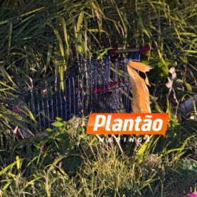 Homem em situação de rua morre atropelado na BR-376, em Marialva Foto 5 Fotos de Homem em situação de rua morre atropelado na BR-376, em Marialva