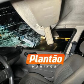 Homem morre atropelado ao tentar atravessar a rodovia BR-376 Foto 7 Fotos de Homem morre atropelado ao tentar atravessar a rodovia BR-376