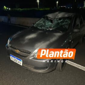 Homem morre atropelado ao tentar atravessar a rodovia BR-376 Foto 2 Fotos de Homem morre atropelado ao tentar atravessar a rodovia BR-376