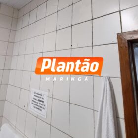 Família denuncia más condições de CMEI onde bebe de 11 meses foi picado por escorpião em Maringá Foto 2 Fotos de Família denuncia más condições de CMEI onde bebe de 11 meses foi picado por escorpião em Maringá