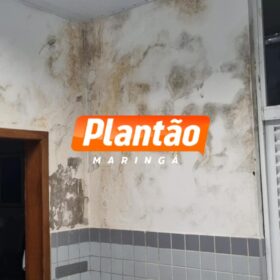 Família denuncia más condições de CMEI onde bebe de 11 meses foi picado por escorpião em Maringá Foto 5 Fotos de Família denuncia más condições de CMEI onde bebe de 11 meses foi picado por escorpião em Maringá