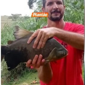 Identificadas vítimas fatais de grave acidente no Contorno Norte, em Maringá Foto 18 Fotos de Identificadas vítimas fatais de grave acidente no Contorno Norte, em Maringá