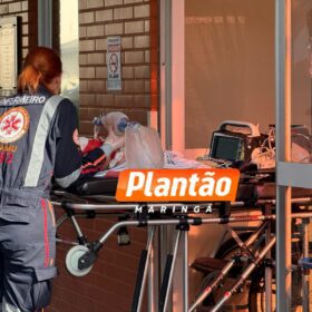 Bebê de 1 ano e 4 meses é intubada e socorrida em estado grave após ser atacada por pitbull em Sarandi Foto 2 Fotos de Bebê de 1 ano e 4 meses é intubada e socorrida em estado grave após ser atacada por pitbull em Sarandi