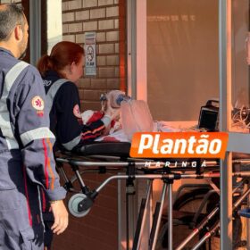 Bebê de 1 ano e 4 meses é intubada e socorrida em estado grave após ser atacada por pitbull em Sarandi Foto 1 Fotos de Bebê de 1 ano e 4 meses é intubada e socorrida em estado grave após ser atacada por pitbull em Sarandi