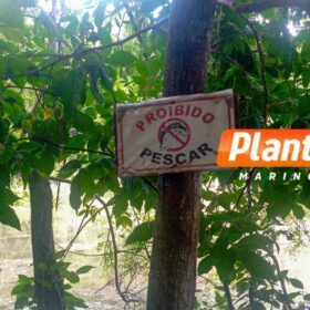 Identificado o jovem encontrado morto em represa na região de Maringá Foto 2 Fotos de Identificado o jovem encontrado morto em represa na região de Maringá