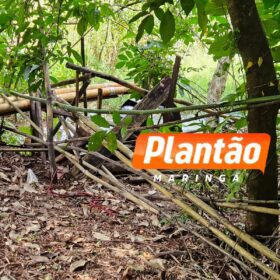 Identificado o jovem encontrado morto em represa na região de Maringá Foto 3 Fotos de Identificado o jovem encontrado morto em represa na região de Maringá