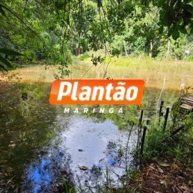 Identificado o jovem encontrado morto em represa na região de Maringá Foto 5 Fotos de Identificado o jovem encontrado morto em represa na região de Maringá