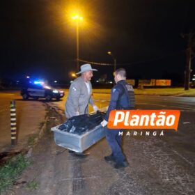 Garupa morre e piloto fica em estado grave após moto bater em meio-fio e alambrado em Maringá Foto 8 Fotos de Garupa morre e piloto fica em estado grave após moto bater em meio-fio e alambrado em Maringá