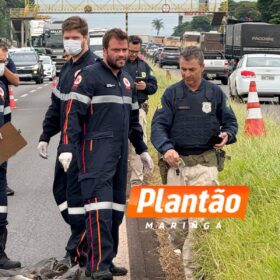 Homem morre atropelado por carreta na BR-376, em Sarandi Foto 5 Fotos de Homem morre atropelado por carreta na BR-376, em Sarandi