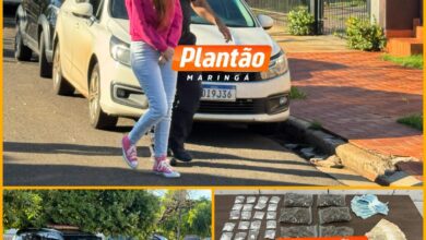 Fotos de PCPR deflagra megaoperação contra tráfico de drogas e lavagem de dinheiro em três estados