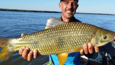 Fotos de Pescador morre após lancha afunda em Porto Rico