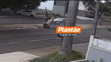 Fotos de Vídeo mostra carro derrubando coqueiro após acidente em Maringá