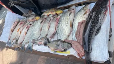 Fotos de Dois homens são presos e multados por pesca ilegal na região
