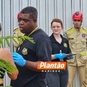 Empresário morre prensado por caminhão no Jardim Sumaré, em Maringá Foto 10 Fotos de Empresário morre prensado por caminhão no Jardim Sumaré, em Maringá