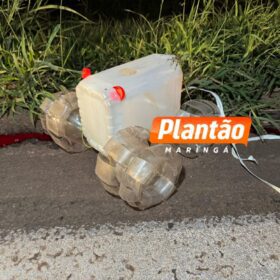 Fiel até o fim: cachorro chora ao lado de homem atropelado em rodovia no Paraná Foto 8 Fotos de Fiel até o fim: cachorro chora ao lado de homem atropelado em rodovia no Paraná