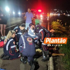 Fiel até o fim: cachorro chora ao lado de homem atropelado em rodovia no Paraná Foto 7 Fotos de Fiel até o fim: cachorro chora ao lado de homem atropelado em rodovia no Paraná