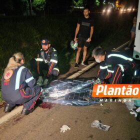 Fiel até o fim: cachorro chora ao lado de homem atropelado em rodovia no Paraná Foto 6 Fotos de Fiel até o fim: cachorro chora ao lado de homem atropelado em rodovia no Paraná
