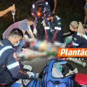 Fiel até o fim: cachorro chora ao lado de homem atropelado em rodovia no Paraná Foto 2 Fotos de Fiel até o fim: cachorro chora ao lado de homem atropelado em rodovia no Paraná