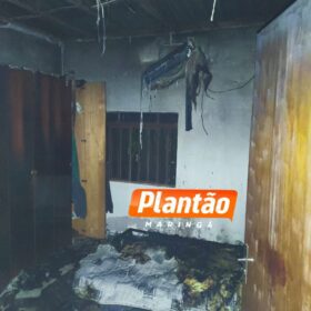 Idoso é esfaqueado e agredido com barra de ferro durante assalto em propriedade rural de Marialva Foto 3 Fotos de Idoso é esfaqueado e agredido com barra de ferro durante assalto em propriedade rural de Marialva