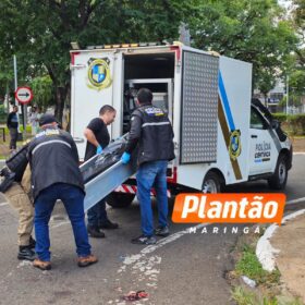 Segurança que matou homem em boate de Maringá é solto após decisão da Justiça Foto 9 Fotos de Segurança que matou homem em boate de Maringá é solto após decisão da Justiça