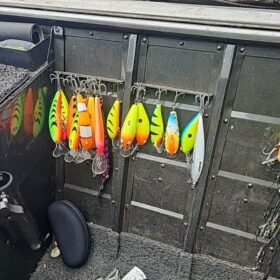 Policia Ambiental prende cinco pessoas por pesca predatória no Rio Ivaí Foto 1 Fotos de Policia Ambiental prende cinco pessoas por pesca predatória no Rio Ivaí