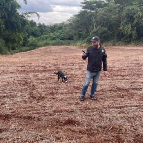 Suspeito confessa que agricultor desaparecido em Marialva foi esquartejado; partes foram jogadas em rio Foto 4 Fotos de Suspeito confessa que agricultor desaparecido em Marialva foi esquartejado; partes foram jogadas em rio