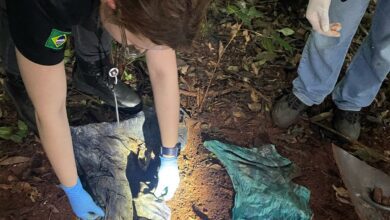 Fotos de Suspeito confessa que agricultor desaparecido em Marialva foi esquartejado; partes foram jogadas em rio