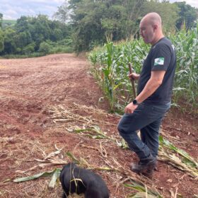 Suspeito confessa que agricultor desaparecido em Marialva foi esquartejado; partes foram jogadas em rio Foto 10 Fotos de Suspeito confessa que agricultor desaparecido em Marialva foi esquartejado; partes foram jogadas em rio