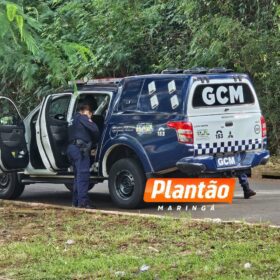 Trio com carro roubado é preso após perseguição em Maringá Foto 6 Fotos de Trio com carro roubado é preso após perseguição em Maringá